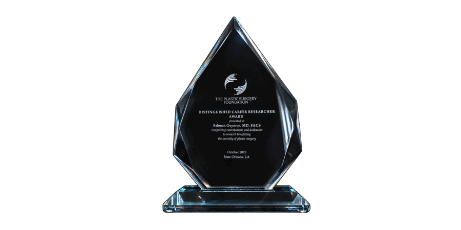 distinguished-career-researcher-2025